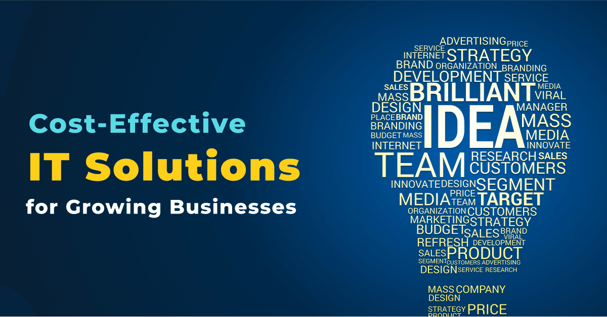 Cost-Effective IT Solutions for Growing Businesses